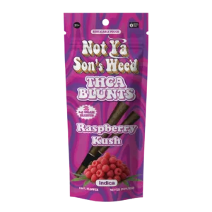 not ya son's weed pre roll raspberry kush blunt – thca 2 pack
